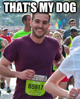 That's my dog   Ridiculously photogenic guy