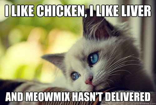 i like chicken, i like liver and meowmix hasn't delivered  First World Problems Cat