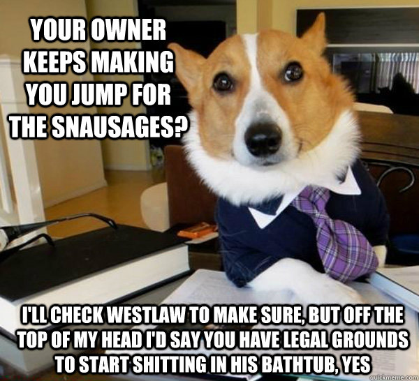 your owner keeps making you jump for the snausages? i'll check westlaw to make sure, but off the top of my head i'd say you have legal grounds to start shitting in his bathtub, yes  Lawyer Dog