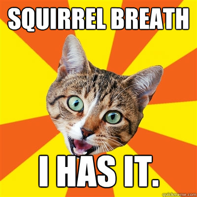 SQUIRREL BREATH I HAS IT. - SQUIRREL BREATH I HAS IT.  Bad Advice Cat