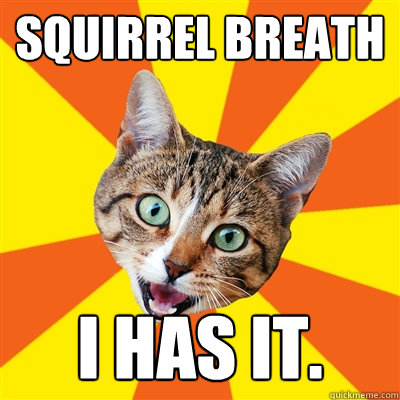 SQUIRREL BREATH I HAS IT.  Bad Advice Cat