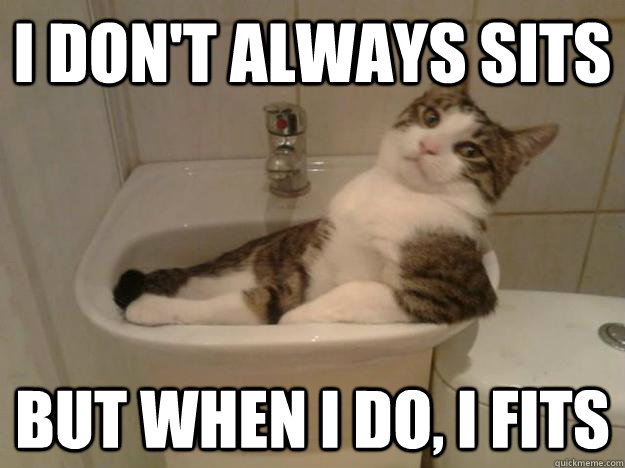 I don't always sits but when i do, I fits - I don't always sits but when i do, I fits  Most interesting cat in the world