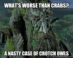 What's worse than Crabs? A nasty case of crotch owls - What's worse than Crabs? A nasty case of crotch owls  Treebeard Wisess