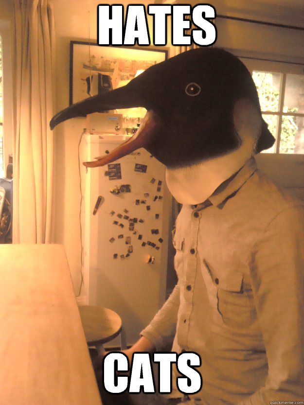 hates cats  