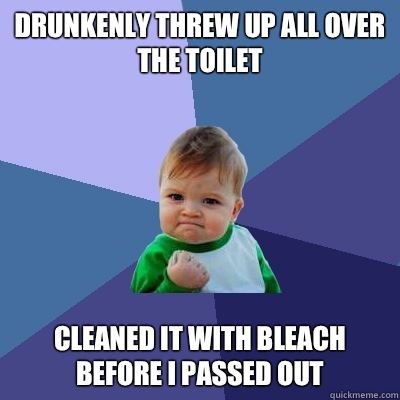 Drunkenly threw up all over the toilet Cleaned it with bleach before I passed out  Success Kid