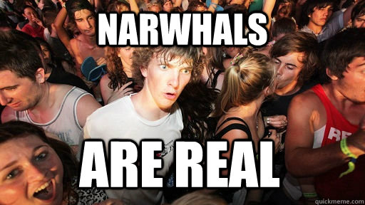 narwhals are real  Sudden Clarity Clarence