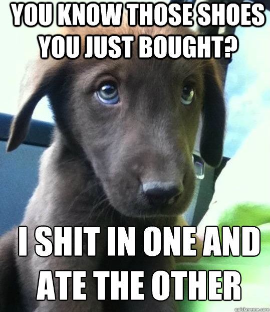 You know those shoes you just bought? I shit in one and ate the other  Not So Sorry Dog
