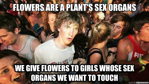 flowers are a plant's sex organs we give flowers to girls whose sex organs we want to touch - flowers are a plant's sex organs we give flowers to girls whose sex organs we want to touch  Suddenly Clarity Clarence