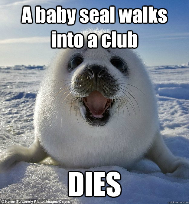 A baby seal walks into a club DIES - A baby seal walks into a club DIES  Easily Pleased Seal