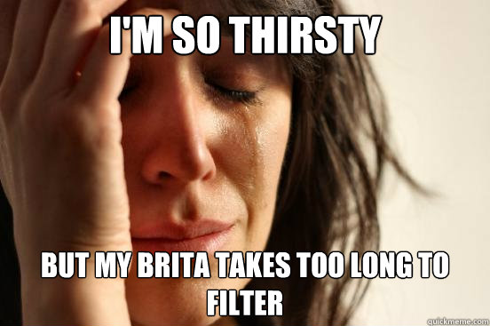 I'm so thirsty But My Brita takes too long to filter  First World Problems