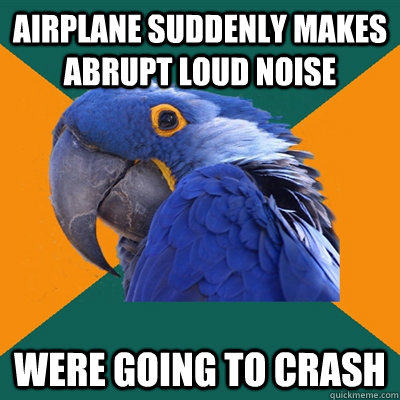 Airplane suddenly makes abrupt loud noise Were going to crash  Paranoid Parrot