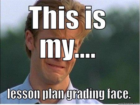 THIS IS MY.... LESSON PLAN GRADING FACE. 1990s Problems