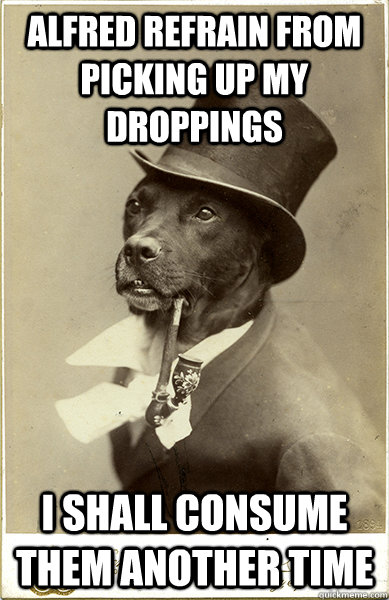 Alfred refrain from picking up my droppings i shall consume them another time - Alfred refrain from picking up my droppings i shall consume them another time  Old Money Dog
