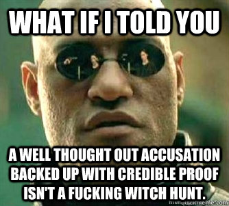 What if I told you  A well thought out accusation backed up with credible proof isn't a fucking witch hunt.  Matrix Morpheous