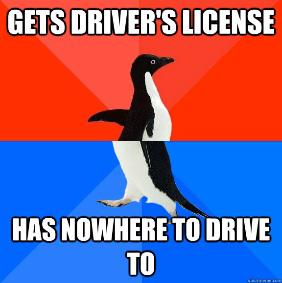 gets Driver's license has nowhere to drive to  Socially Awesome Awkward Penguin