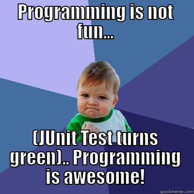Junit Testing - PROGRAMMING IS NOT FUN... (JUNIT TEST TURNS GREEN).. PROGRAMMING IS AWESOME! Success Kid