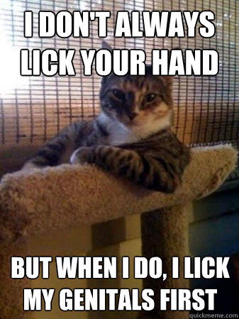 I don't always lick your hand but when I do, I lick my genitals first  The Most Interesting Cat in the World