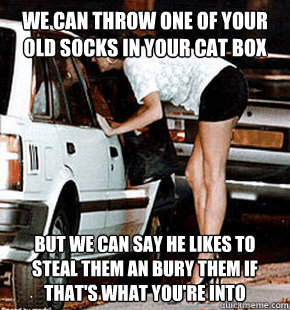 We can throw one of your old socks in your cat box but we can say he likes to steal them an bury them if that's what you're into  FB karma whore