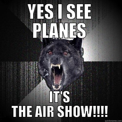 YES I SEE PLANES IT'S THE AIR SHOW!!!! Insanity Wolf