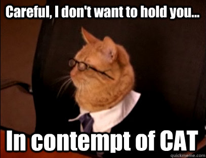 Careful, I don't want to hold you... In contempt of CAT  Lawyer Cat