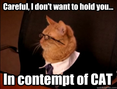 Careful, I don't want to hold you... In contempt of CAT - Careful, I don't want to hold you... In contempt of CAT  Lawyer Cat