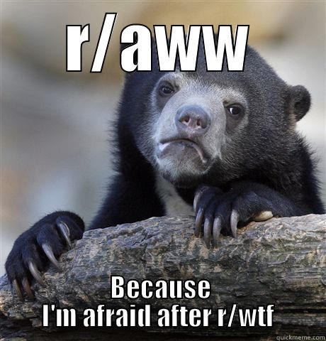 R/AWW BECAUSE I'M AFRAID AFTER R/WTF  Confession Bear