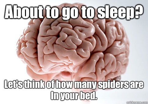 About to go to sleep? Let's think of how many spiders are In your bed. - About to go to sleep? Let's think of how many spiders are In your bed.  Scumbag Brain