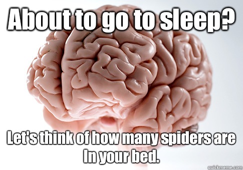 About to go to sleep? Let's think of how many spiders are In your bed.  Scumbag Brain