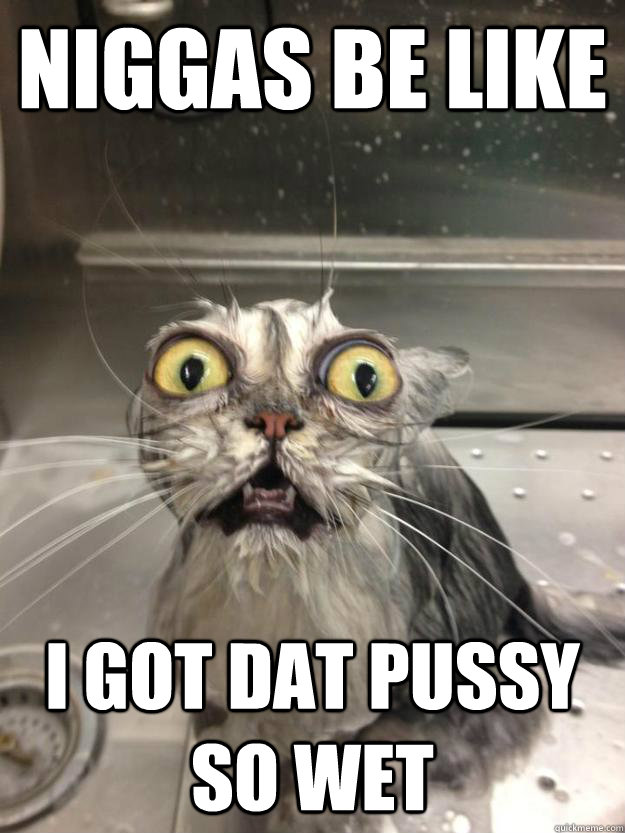 Niggas be like I got dat pussy so wet  Niggas be like wet pussy