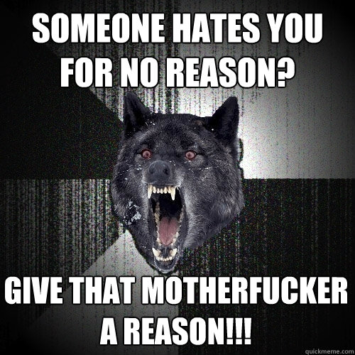 someone hates you for no reason? give that motherfucker a reason!!!  Insanity Wolf