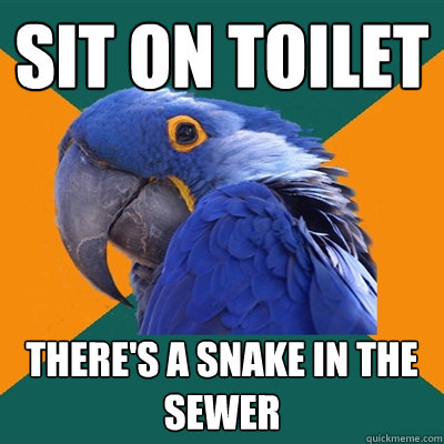sit on toilet there's a snake in the sewer  Paranoid Parrot