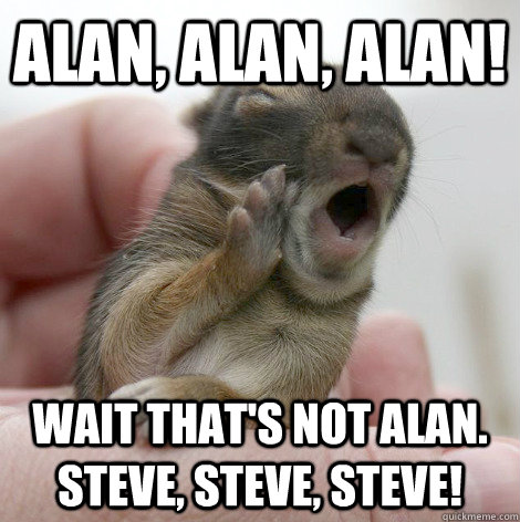 Alan, Alan, Alan! Wait that's not Alan. Steve, Steve, Steve! - Alan, Alan, Alan! Wait that's not Alan. Steve, Steve, Steve!  Gossiping Bunny