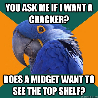 you ask me if I want a cracker? does a midget want to see the top shelf?  Paranoid Parrot