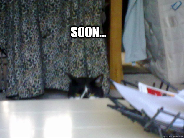 Soon... - Soon...  Misc