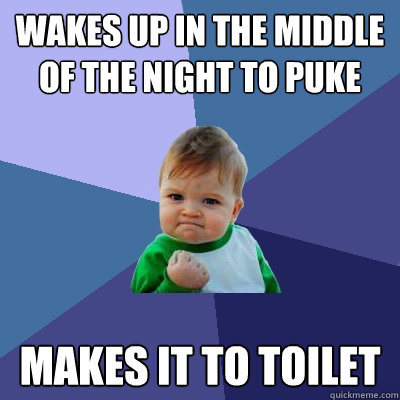 wakes up in the middle of the night to puke makes it to toilet  Success Kid