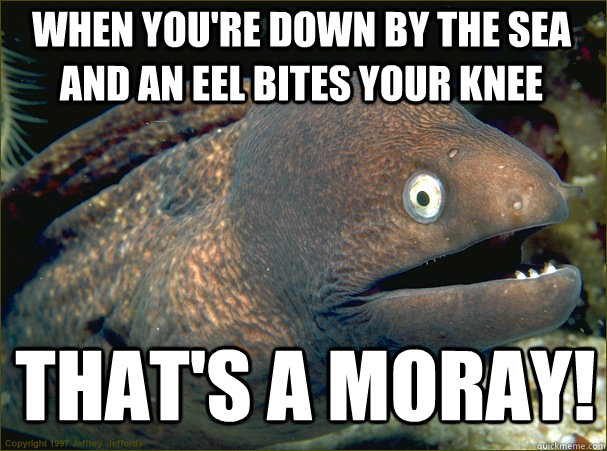 When you're down by the sea and an Eel bites your knee That's A Moray!  Caught in the act Moray