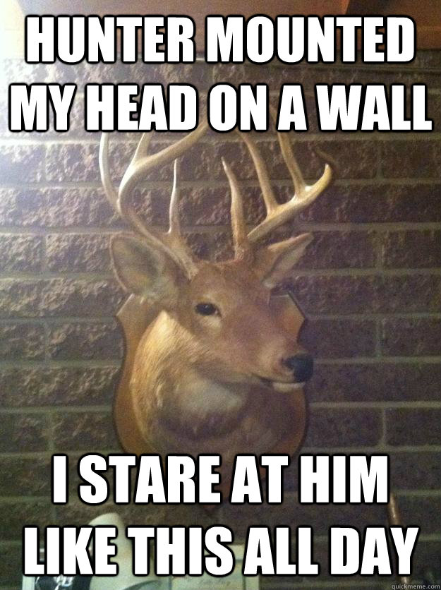 hunter mounted my head on a wall I stare at him like this all day  I Know What You Did Deer