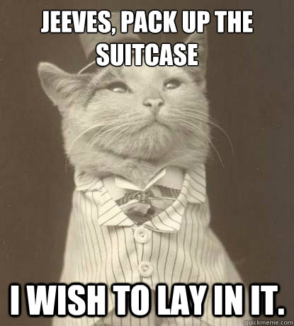 Jeeves, pack up the suitcase I wish to lay in it.  Aristocat