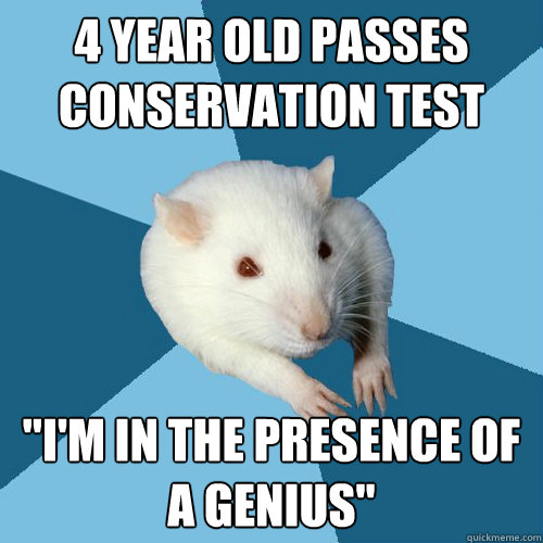 4 year old passes conservation test 