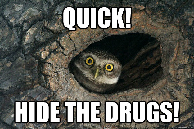 quick! hide the drugs!  Thunderstruck Owl