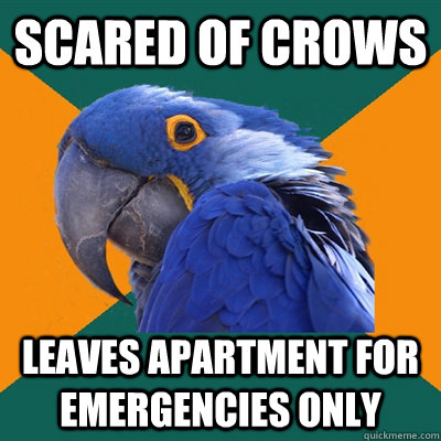scared of crows Leaves apartment for emergencies only  Paranoid Parrot