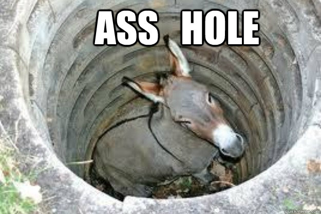 ass   hole - ass   hole  go home donkey