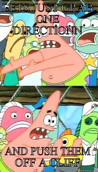 LETS JUST GRAB ONE DIRECTION AND PUSH THEM OFF A CLIFF Push it somewhere else Patrick