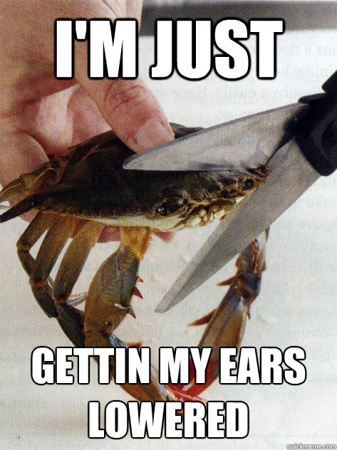 I'M JUST GETTIN MY EARS LOWERED  Optimistic Crab