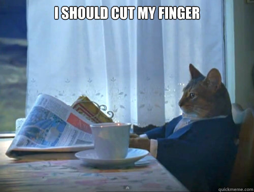 I should cut my finger  - I should cut my finger   The One Percent Cat