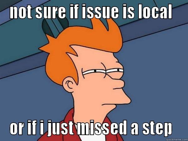 troubleshooting flowchat thoughts - NOT SURE IF ISSUE IS LOCAL  OR IF I JUST MISSED A STEP  Futurama Fry