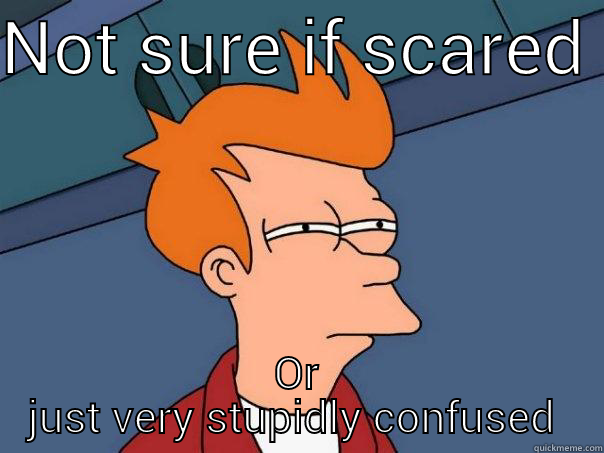 NOT SURE IF SCARED  OR JUST VERY STUPIDLY CONFUSED  Futurama Fry