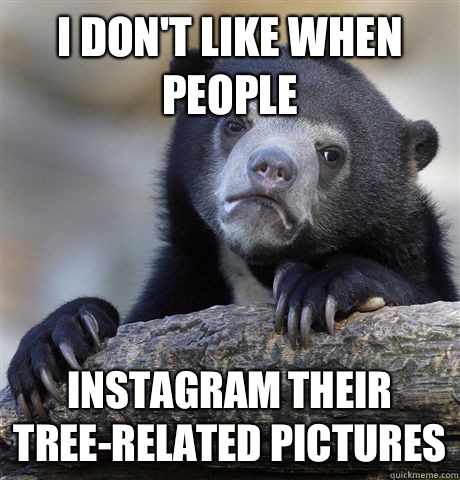I don't like when people Instagram their tree-related pictures  Confession Bear