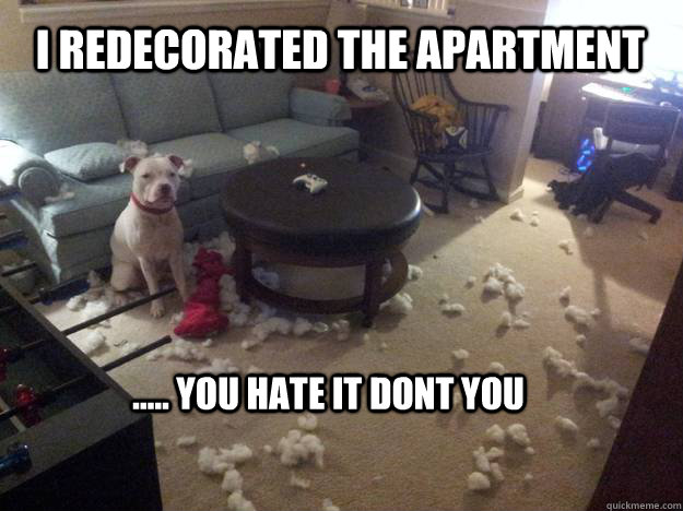 I redecorated the apartment ..... you hate it dont you  