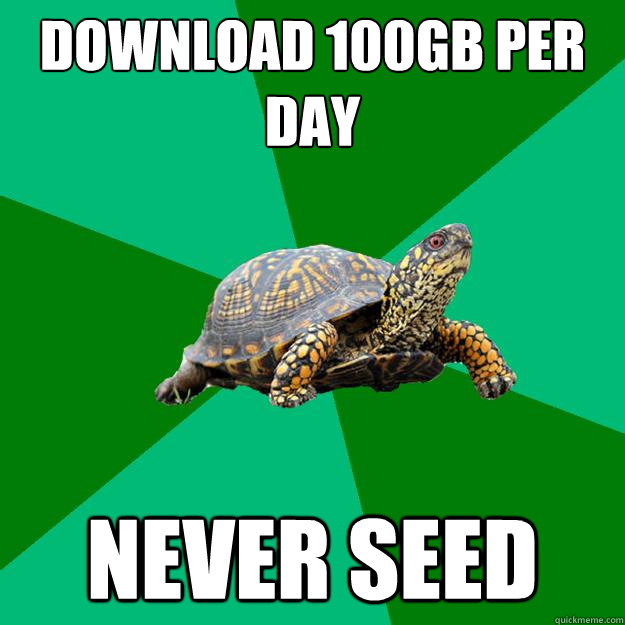 download 100gb per day never seed  Torrenting Turtle